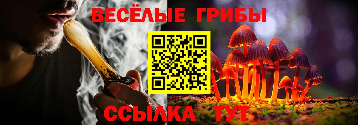 Асино  Псилоцибиновые грибы GOLDEN TEACHER  Псилоцибиновые грибы мухоморы  Вход с VPN 